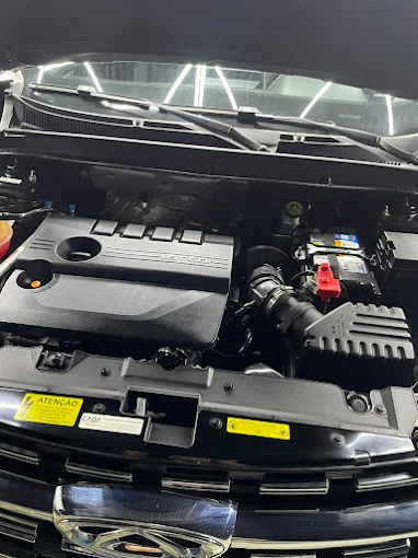 Motor higienizado pela Tedy Car Detail